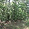 Photo of Mobile Home Lot