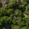 Woods aerial.