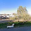 Mobile Home for Sale: 3 Bed 1 Bath 2000 Mobile Home
