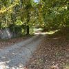 RV Lot for Rent: Graham, NC, 4 miles     PRIVATE WOODED RV LOT, Haw River, NC