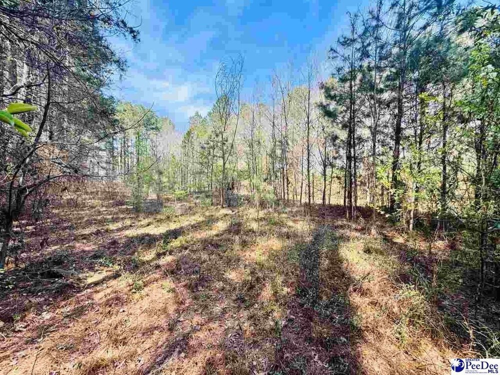 Photo of Mobile Home Lot