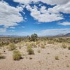 Photo of Mobile Home Lot