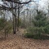 Photo of Mobile Home Lot