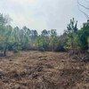 Photo of Mobile Home Lot
