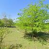 Mobile Home for Sale: 2024 Mobile Home