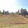 Mobile Home for Sale: 7 Bed 4 Bath 2019 Mobile Home