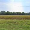 Mobile Home for Sale: Mobile Home