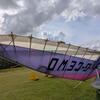 Aircraft for Sale: GT 450 Wing