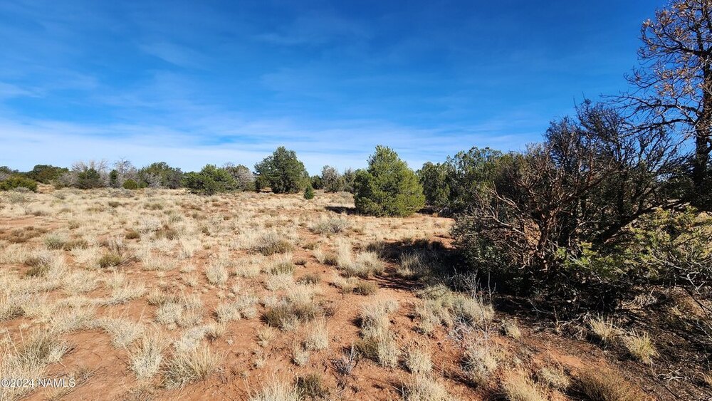 Photo of Mobile Home Lot