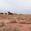 Photo of Mobile Home Lot