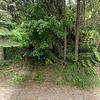 Mobile Home for Sale: 3 Bed 2 Bath 1999 Mobile Home