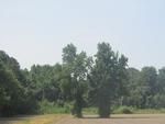 Photo of Mobile Home Lot