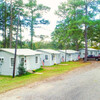 RV Park for Sale: Lake O' Pines Marina and Rv Park, , TX