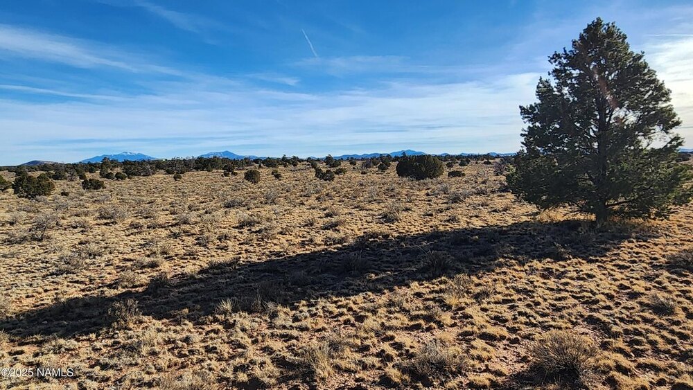 Photo of Mobile Home Lot