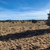 Photo of Mobile Home Lot