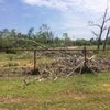 Photo of Mobile Home Lot