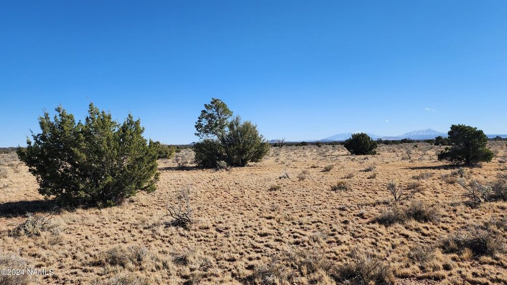 Photo of Mobile Home Lot