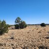 Photo of Mobile Home Lot