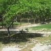 Photo of RV Lot