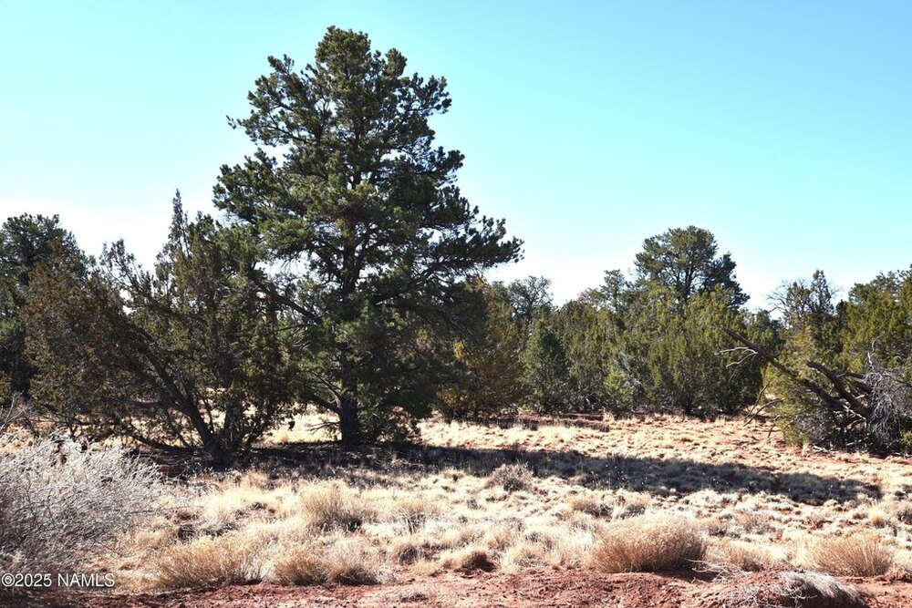 Photo of Mobile Home Lot