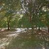 Mobile Home for Sale: 3 Bed 2 Bath 1981 Mobile Home