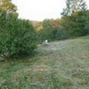 Photo of Mobile Home Lot