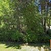 Mobile Home for Sale: 3 Bed 2 Bath 1992 Mobile Home