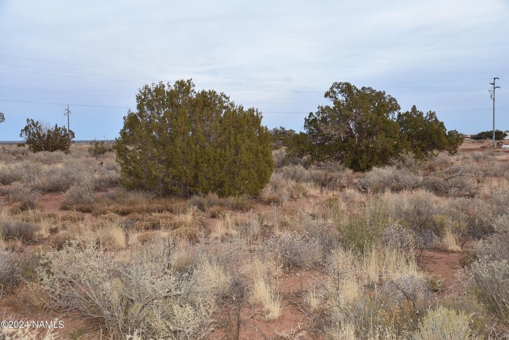 Photo of Mobile Home Lot