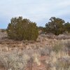 Photo of Mobile Home Lot
