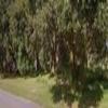 Photo of Mobile Home Lot