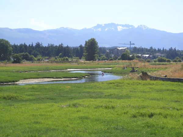 Photo of RV Lot