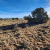 Photo of Mobile Home Lot