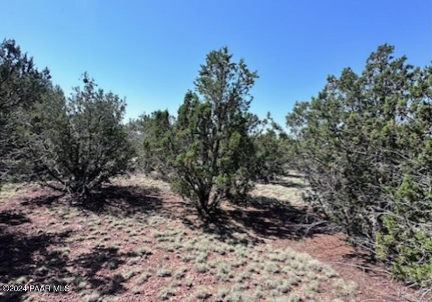 Photo of Mobile Home Lot