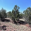 Photo of Mobile Home Lot