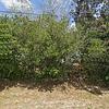 Mobile Home for Sale: 3 Bed 2 Bath 1995 Mobile Home