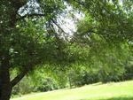 Photo of Mobile Home Lot
