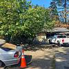 Mobile Home for Sale: 3 Bed 1 Bath 1977 Mobile Home