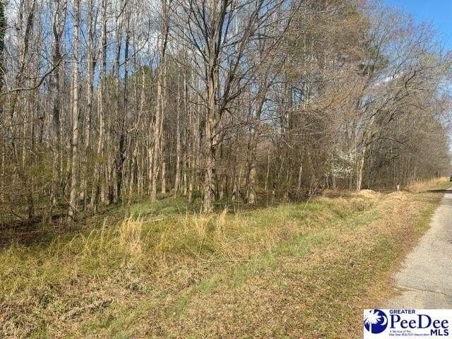Photo of Mobile Home Lot