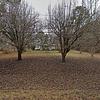 Mobile Home for Sale: 3 Bed 2 Bath 1996 Mobile Home