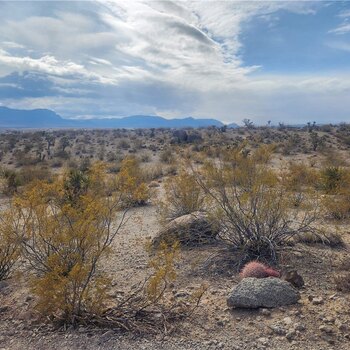 Thumbnail of mobile home lot