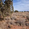 Photo of Mobile Home Lot