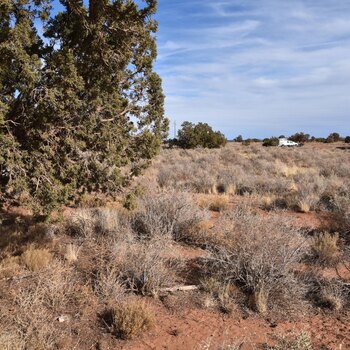Thumbnail of mobile home lot