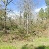 Mobile Home for Sale: 2019 Mobile Home