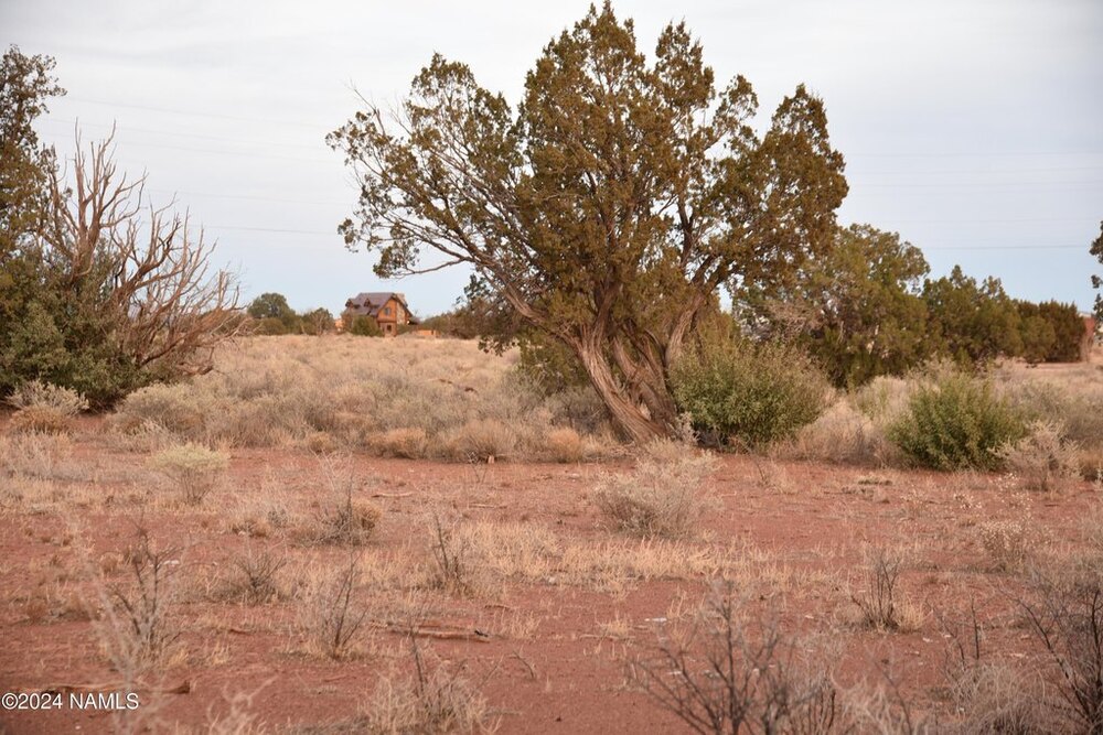 Photo of Mobile Home Lot