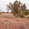 Photo of Mobile Home Lot
