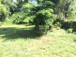 Photo of Mobile Home Lot