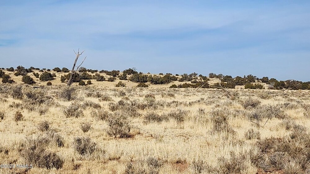 Photo of Mobile Home Lot