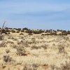 Photo of Mobile Home Lot