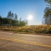 Photo of Mobile Home Lot