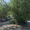 Mobile Home for Sale: 3 Bed 2 Bath 1998 Mobile Home